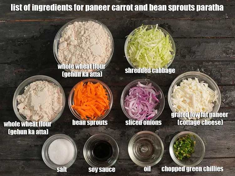 Step 2 – <strong>what is paneer carrot and bean sprouts paratha made off? healthy cottage cheese vegetable paratha</strong> …