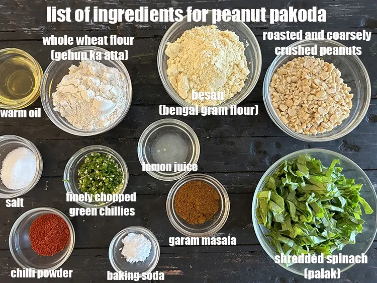 Step 3 – <strong>what is peanut pakoda made of ?</strong> <u><em>See below image of list of ingredients for&nbsp;peanut …