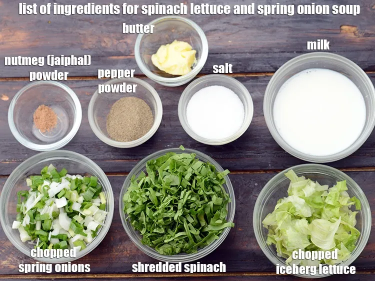 Step 2 – <strong>Spinach lettuce and spring onion soup</strong> is made from 1 1/2 cups&nbsp;<a href="https://www.tarladalal.com/glossary-shredded-spinach-777i">shredded spinach (palak)</a>, …