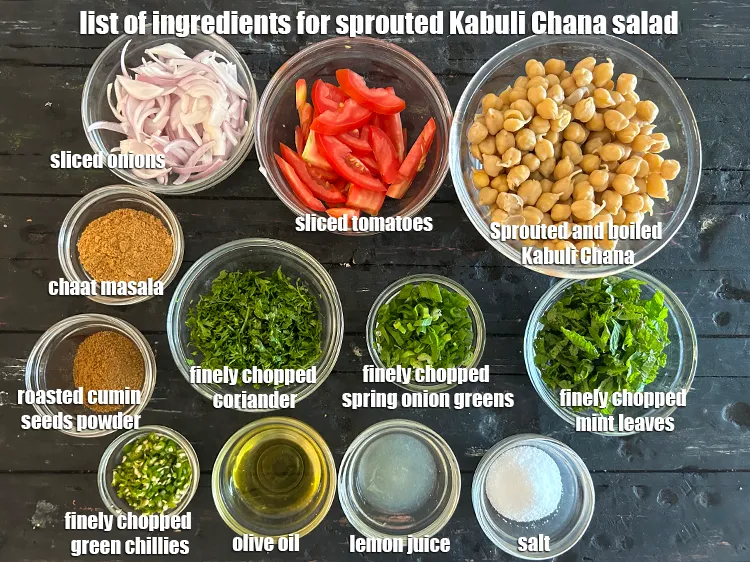 Step 2 – <strong>what is sprouted Kabuli Chana salad made of ? </strong><u><em>See below image of list of …