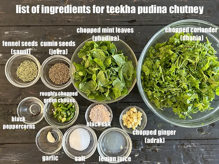 Step 4 – <strong>what is teekha pudina chutney made of? </strong><u><em>See below image of list of ingredients for&nbsp;teekha …