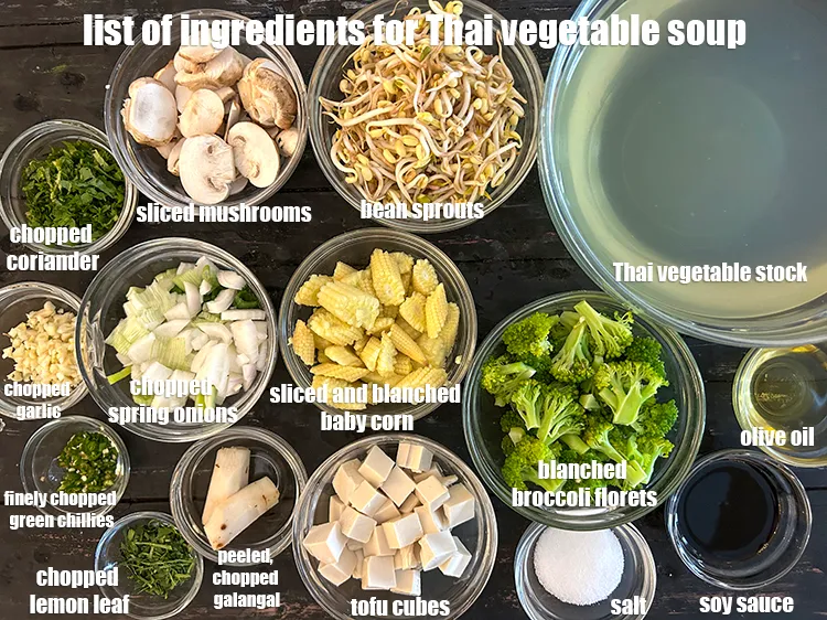 Step 2 – <strong>what is Thai vegetable soup made of ? </strong><u><em>See below image of list of ingredients …