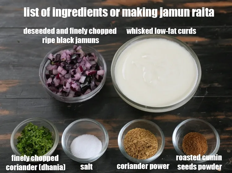 Step 2 – <em><u>See the below image of list of ingredients or making jamun raita.</u></em>