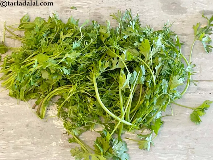 Step 12 – This is what coriander looks like.