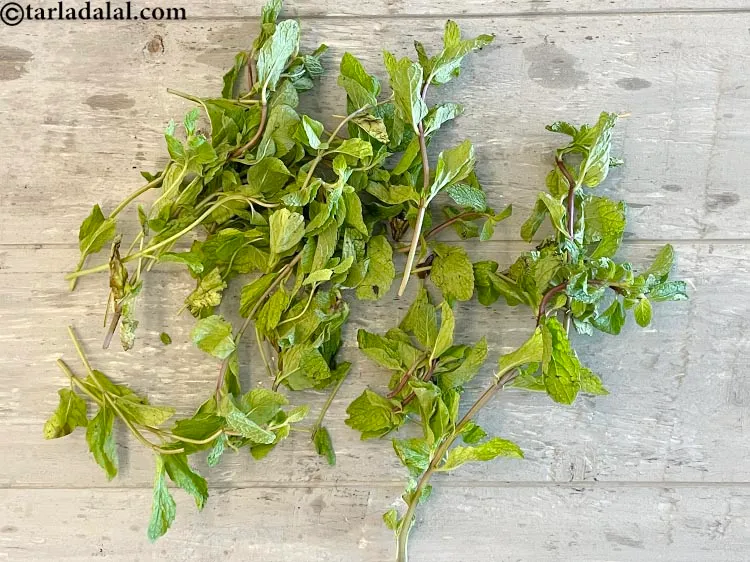 Step 12 – This is what mint leaves look like.