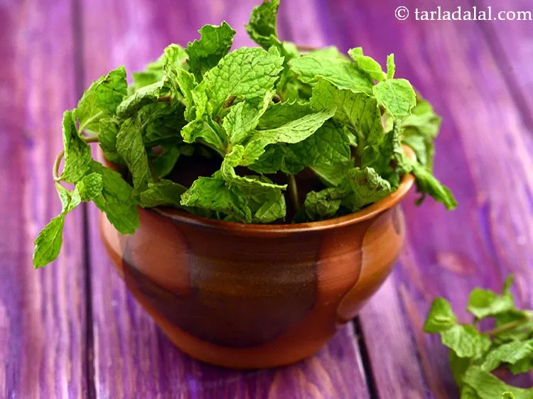 Step 38 – Basil can be replaced with mint leaves.&nbsp;