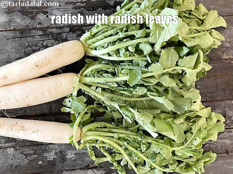 Step 9 – <meta charset="UTF-8" />This is what radish leaves look like.&nbsp;