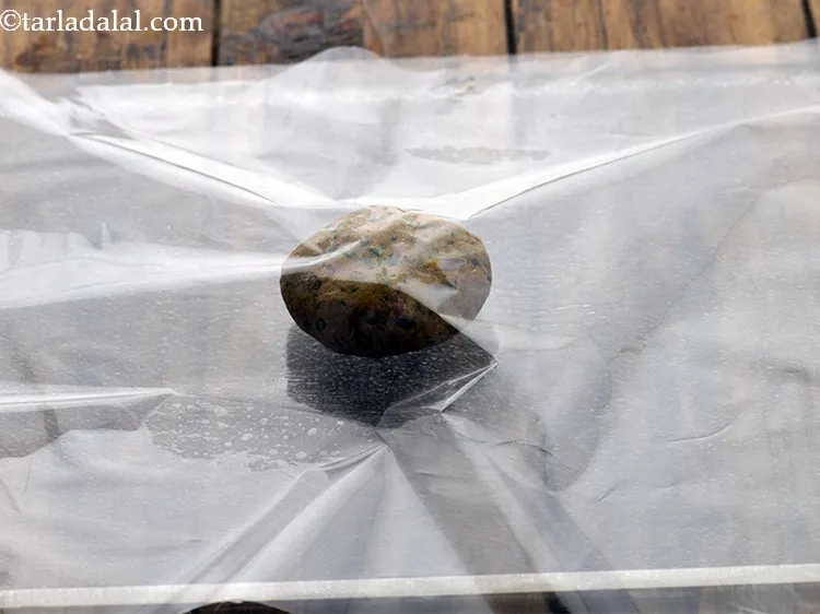 Step 20 – Cover with another plastic sheet.