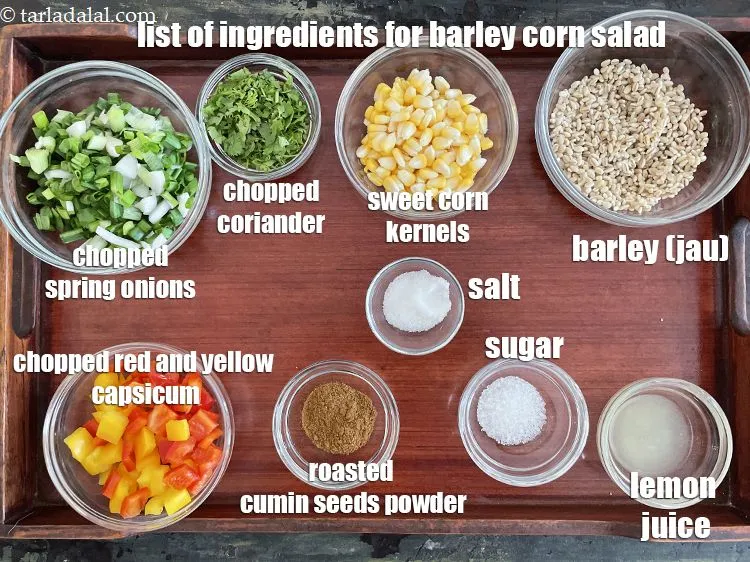 Step 2 – <strong>what is barley&nbsp;corn salad made of ? barley&nbsp;vegetable corn salad&nbsp;</strong>is made from cheap and easily …