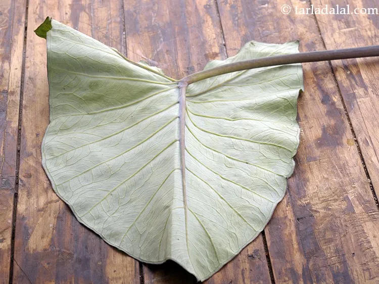 Step 11 – To prepare the&nbsp;<strong>paatra recipe | Gujarati paatra |&nbsp;Maharashtrian&nbsp;alu vadi |</strong>&nbsp;place a colocasia leaf with the …