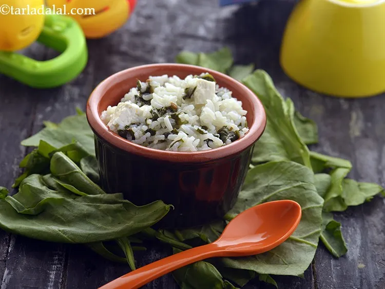 स्टेप 17 – <strong>बच्चों के लिए पालक पनीर चावल </strong>को गुनगुना बढ़ते बच्चे …