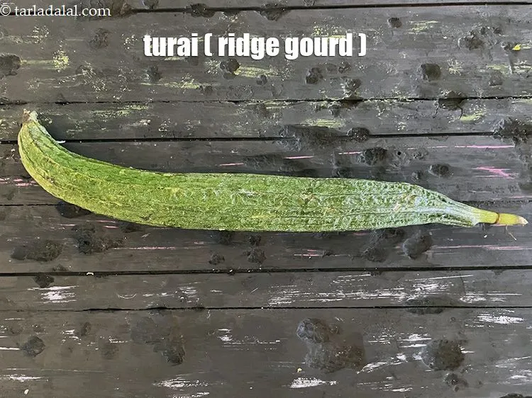 Step 3 – <meta charset="UTF-8" /> This is what turai ( ridge gourd ) look like.