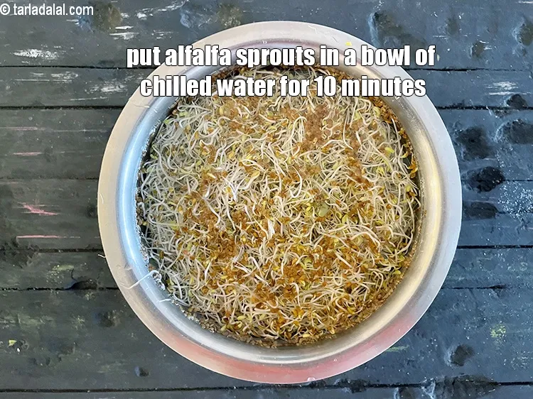 Step 4 – <p>To use alfalafa sprouts, put the alfalfa sprouts in a bowl of chilled water for …