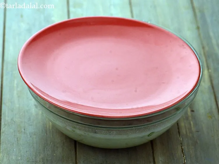 Step 14 – Cover and keep aside to soak for atleast 30 minutes. The&nbsp;<strong>Rava Vegetable Dhoklas</strong>&nbsp;is an instant …