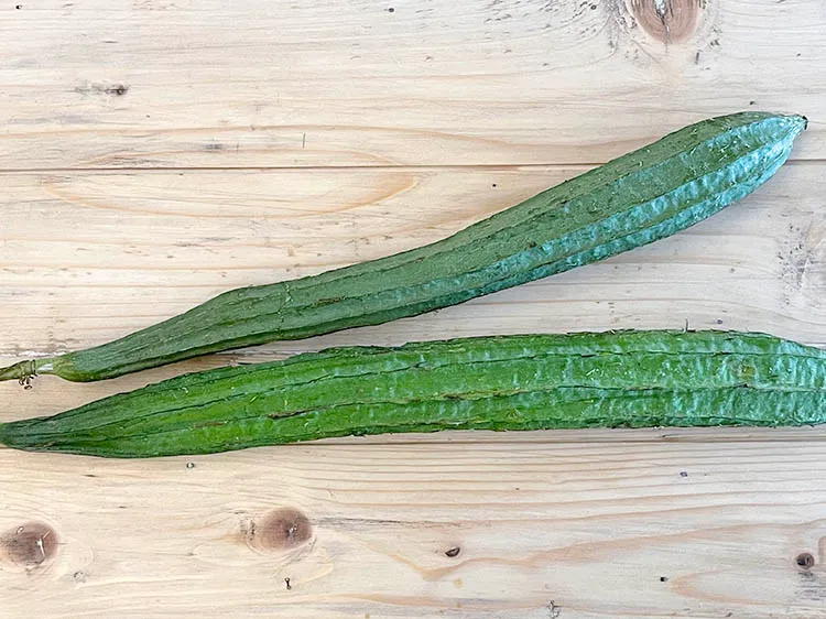 Step 2 – This is what ridge gourd looks like. Ridge gourd is a dark green, ridged and …