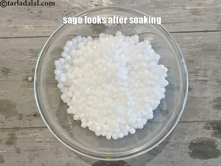 Step 13 – This is how sago looks after soaking. The sago has doubled in size and is …