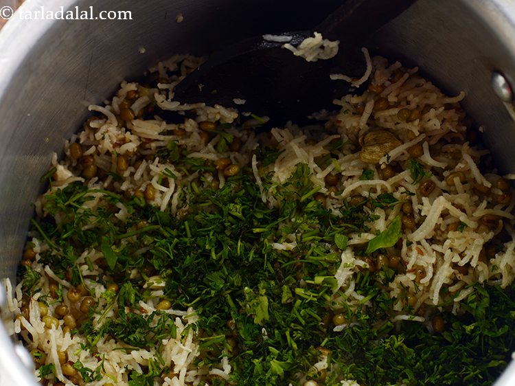 स्टेप 20 – धनिया से <strong>शाहजहानी खिचड़ी </strong>को | <strong>मुगलई शाहजहानी खिचड़ी | …