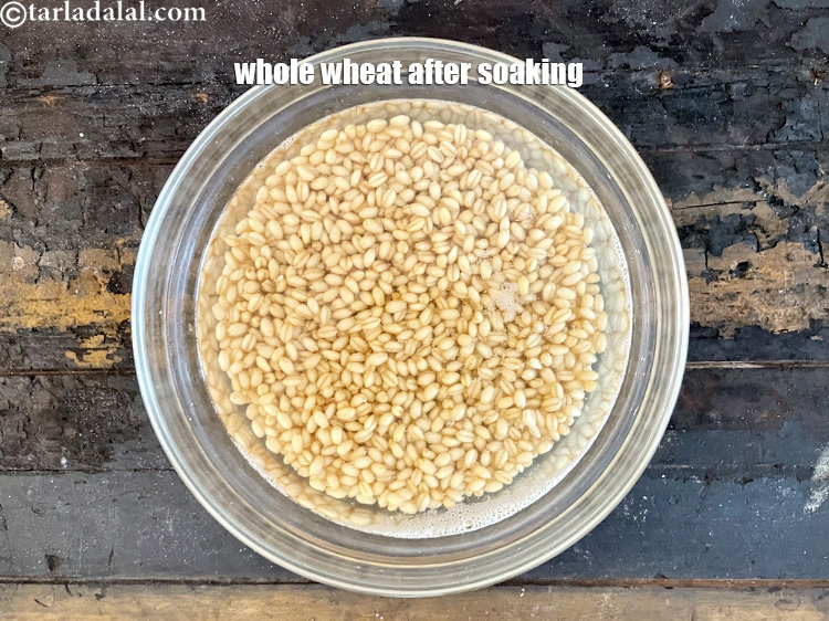 Step 8 – This is how the whole wheat looks in the morning.