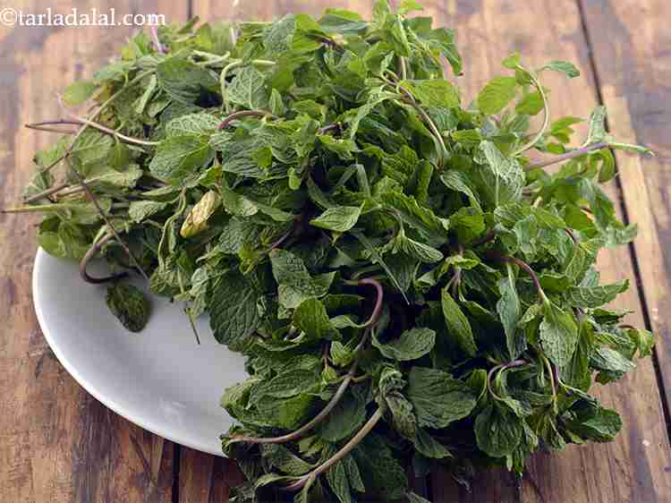 Step 10 – For mint, buy a fresh bunch of mint leaves. Do not buy wilted leaves, buy …