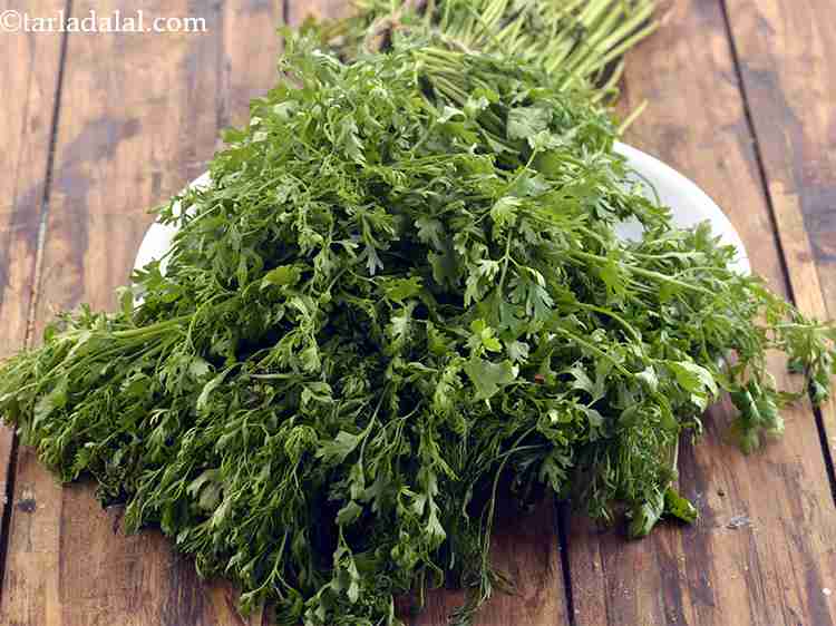 Step 14 – Now you need coriander. Buy the leaves are fresh if they have not become brown …