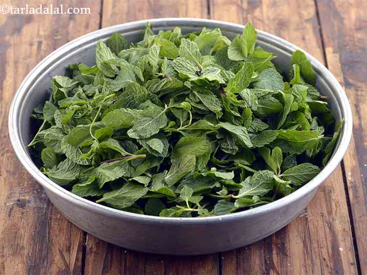 Step 15 – Remove the leaves from the stem and discard the stems. Place the clean mint leaves …