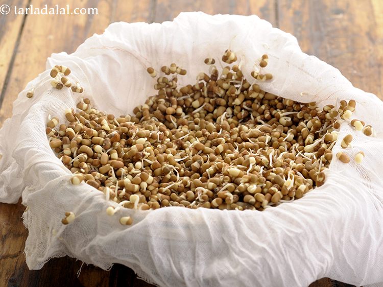 Step 15 – This is how&nbsp;<strong>sprouted matki&nbsp;</strong>looks like.