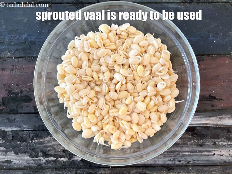 Step 17 – Your sprouted vaal is ready to be used in a Gujarati sabzi.
