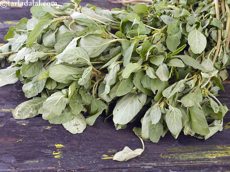 Step 9 – Select bunches with crisp, green leaves that do not contain any markings or browning.