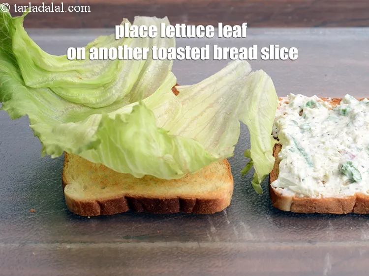 Step 12 – Place a <a href="https://tarladalal.com/glossary-lettuce-salad-ke-patte-498i">lettuce</a>&nbsp;leaf&nbsp;on another toasted bread slice.