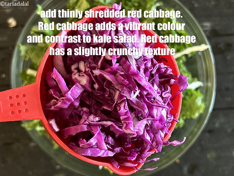 Step 16 – Add&nbsp;<meta charset="UTF-8" />1/2 cup&nbsp;thinly&nbsp;<a href="glossary-shredded-red-cabbage-2262i">shredded red cabbage</a>.&nbsp;Red cabbage adds a vibrant color and contrast to …