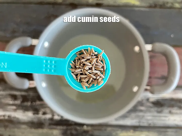 Step 16 – Add&nbsp;<meta charset="UTF-8" />1/2 tsp&nbsp;<a href="glossary-cumin-seeds-jeera-zeera-381i">cumin seeds (jeera)</a>.