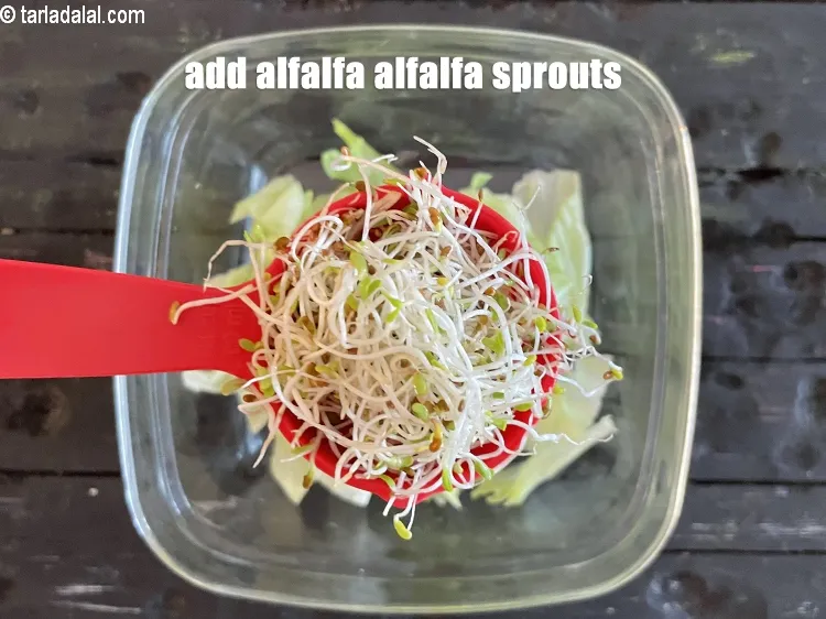 Step 25 – Add&nbsp;<meta charset="UTF-8" />1/4 cup&nbsp;<a href="glossary-alfalfa-sprouts-alfa-alfa-sprouts-sprouted-alfa-alfa-542i">alfalfa sprouts</a>&nbsp;, placed in cold for 5 minutes and drained.