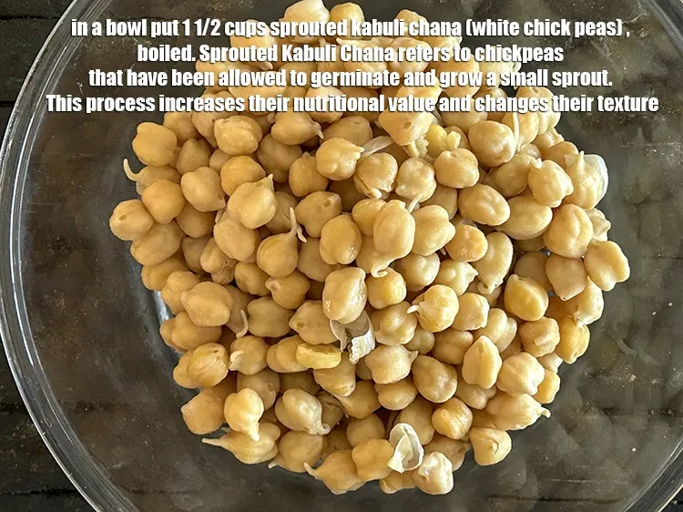 Step 23 – <meta charset="UTF-8" /><strong>Sprouted Kabuli Chana</strong>&nbsp;refers to chickpeas that have been allowed to germinate and grow …