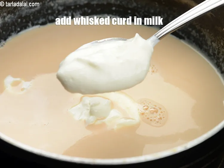 Step 14 – Once slightly cooled, add the whisked curd in the milk.