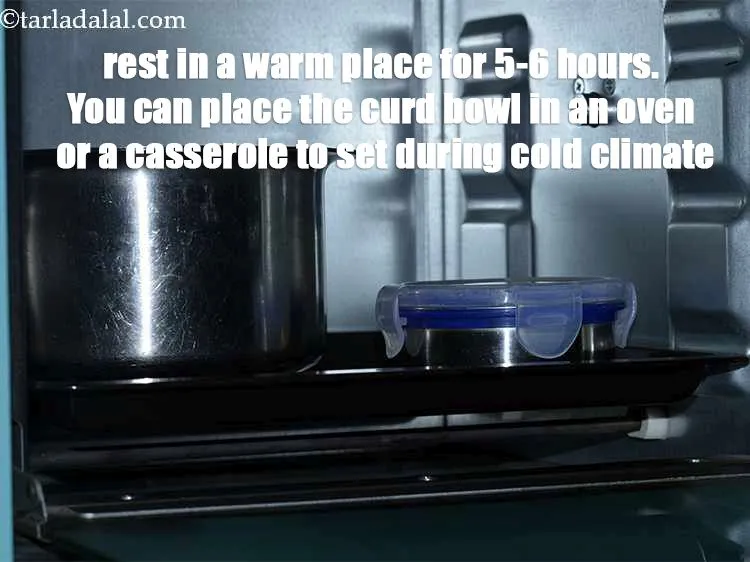Step 12 – Rest in a warm place for 5-6 hours. You can place the curd bowl in …