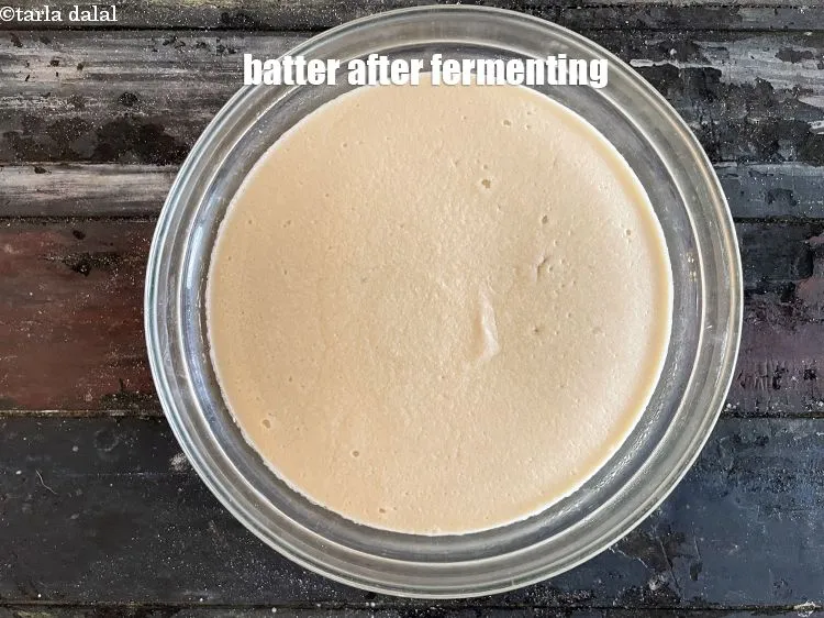 Step 17 – Batter after fermentation.&nbsp;