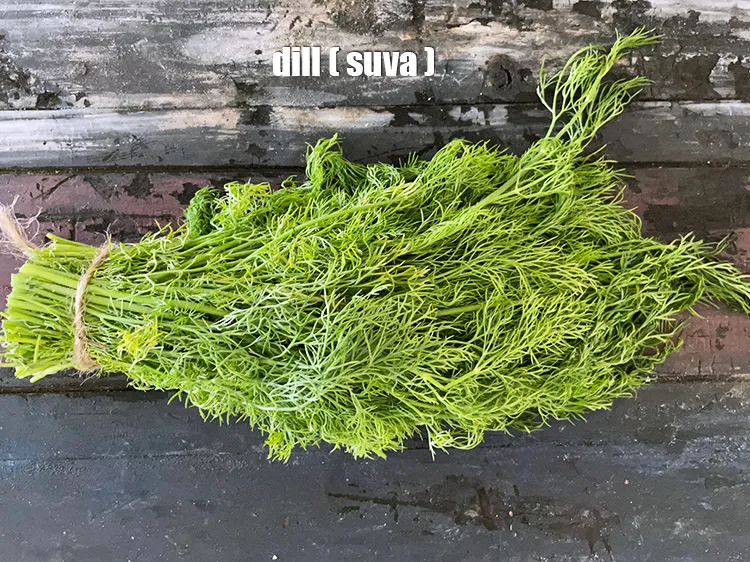 Step 3 – This is what dill looks like.