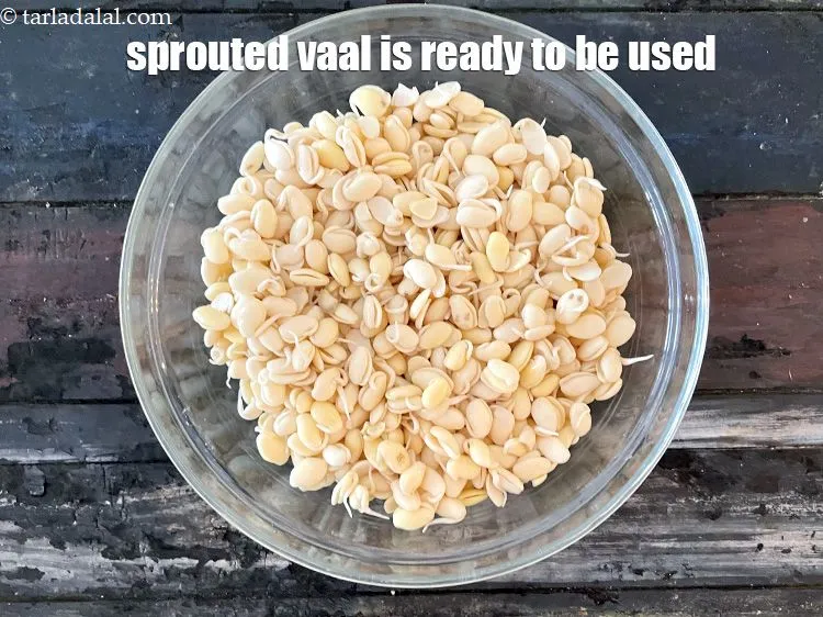 Step 17 – Your sprouted vaal is ready to be used in a Gujarati sabzi.