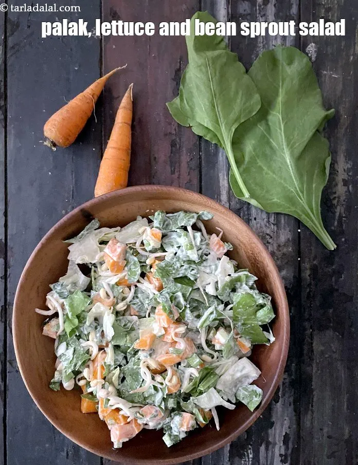 Step 25 – Serve <strong>spinach and bean sprouts in creamy celery dressing | palak, lettuce and bean sprout …