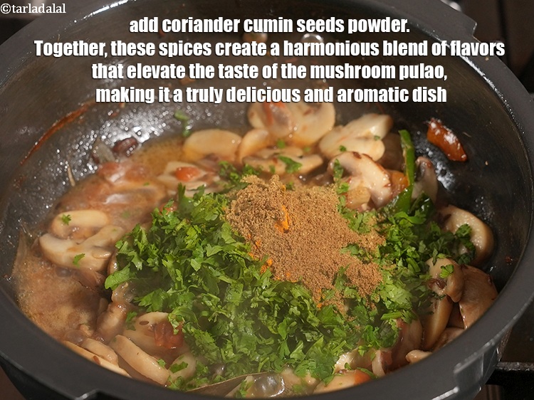Step 21 – Add 2 tsp <a href="https://www.tarladalal.com/glossary-coriander-cumin-seeds-powder-dhania-jeera-powder-375i">coriander-cumin seeds (dhania-jeera) powder</a>. Together, these spices create a harmonious blend …