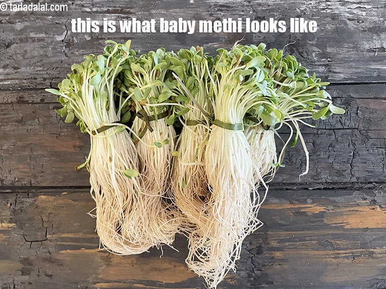 Step 3 – This is what baby methi looks like.