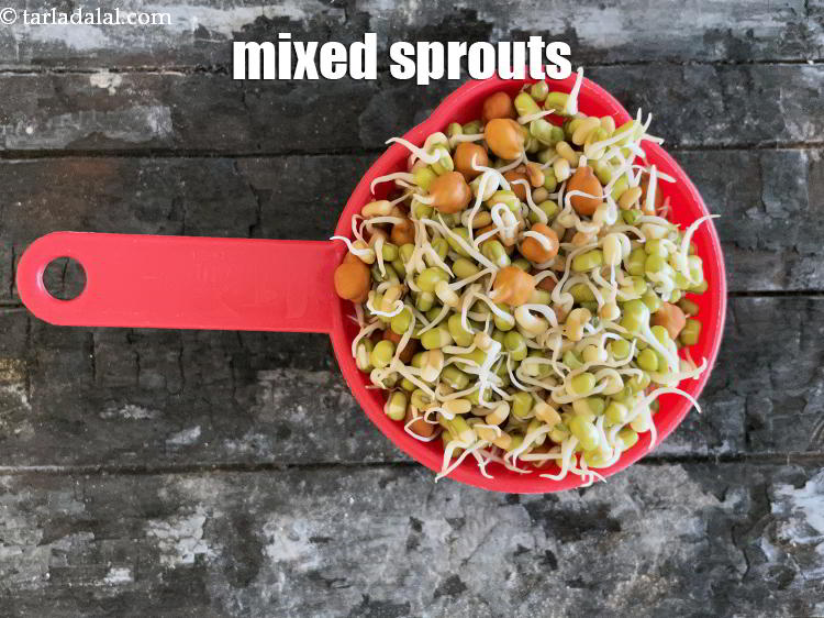 Step 2 – This is what mixed sprouts look like.