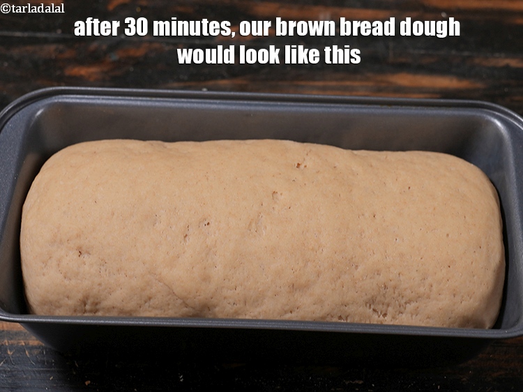 Step 29 – After 30 minutes, our <strong>brown bread</strong> dough would look like this.