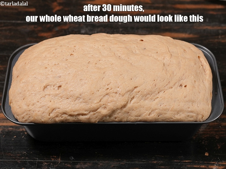 स्टेप 26 – ३० मिनट के बाद, हमारा होल व्हीट ब्रेड का आटा …