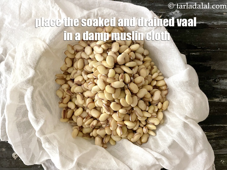 Step 10 – Place the soaked and drained vaal ( lima beans ) in a <strong>damp cheese cloth</strong> …