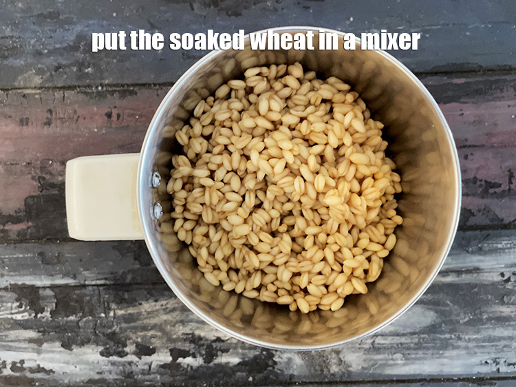 Step 11 – Put the soaked whole wheat in a mixer.