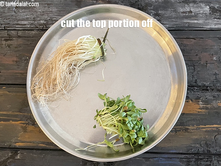 Step 4 – Cut the top portion of the baby methi off.&nbsp;