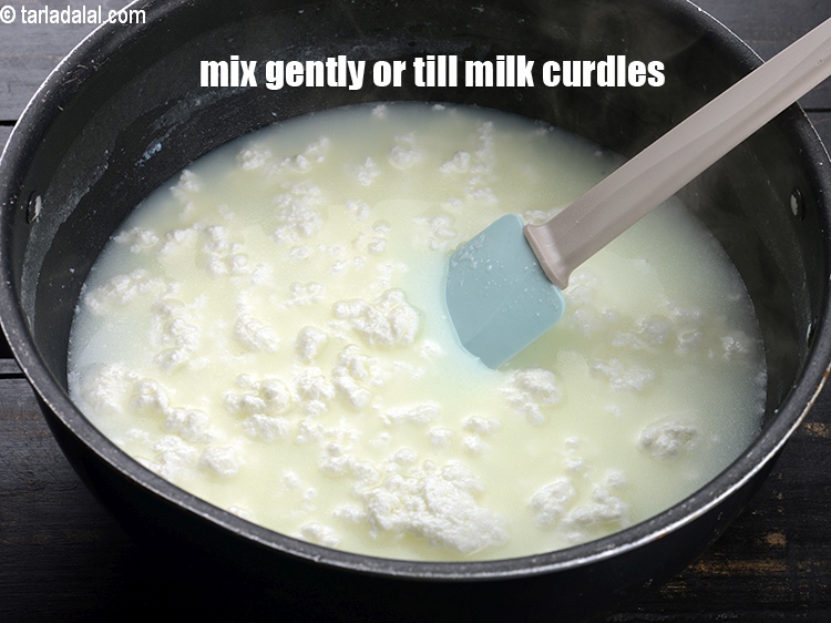 Step 5 – Mix gently using a spatula or till the milk curdles.