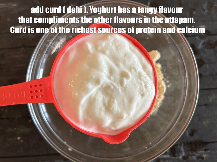 Step 31 – Add&nbsp;1 cup&nbsp;<a href="glossary-curd-dahi-yogurt-yoghurt-383i">curd (dahi)</a>.&nbsp;Yogurt has a tangy flavor that complements the other flavors in uttapam.&nbsp;Curd …
