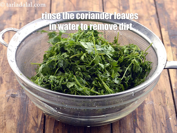 Step 5 – Rinse the coriander leaves in water to remove any dirt that might be stuck to …